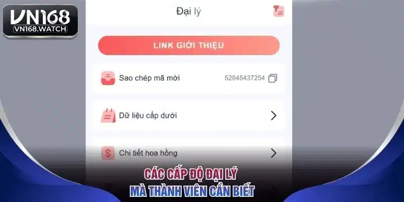 Các cấp độ đại lý mà thành viên cần biết