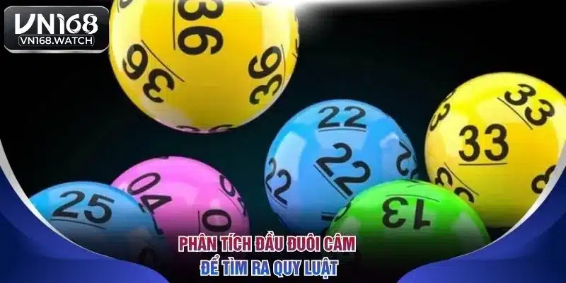 Phân tích đầu đuôi câm để tìm ra quy luật